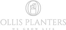 Ollis Planters-We Grow Life